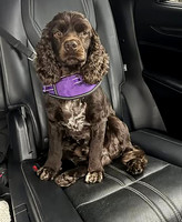 oakley deb 2 car