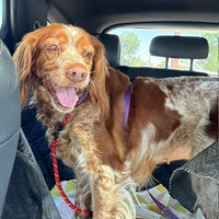 2 day road trip from Ok to FL