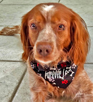 Wearing her new Forever Loved bandana, donated from NBRAN