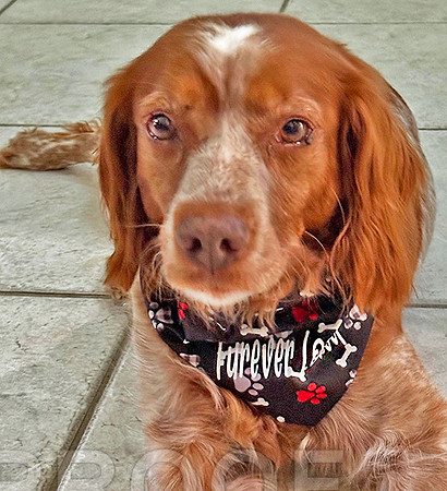 Wearing her new Forever Loved bandana, donated from NBRAN
