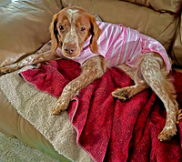 Lounging, ready to watch some tv.