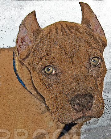 pb face stylized 2856