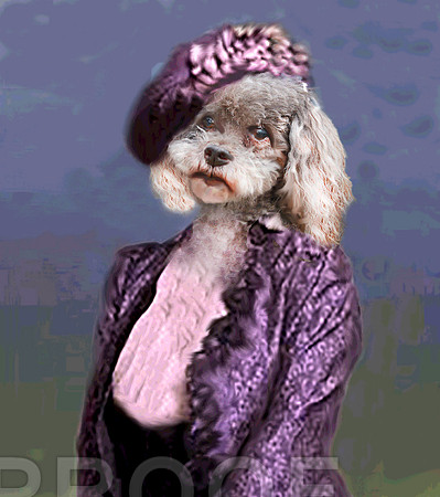Violet Crawley, Countess of Grantham