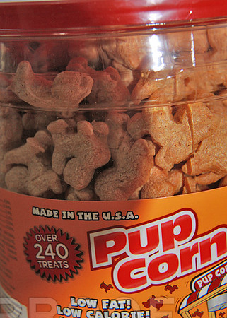 pup corn usa