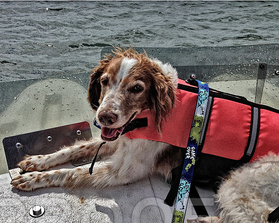 Sonny on boat 0358
