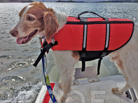 Sonny on Boat 0344