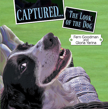 captured front cover only LARGE