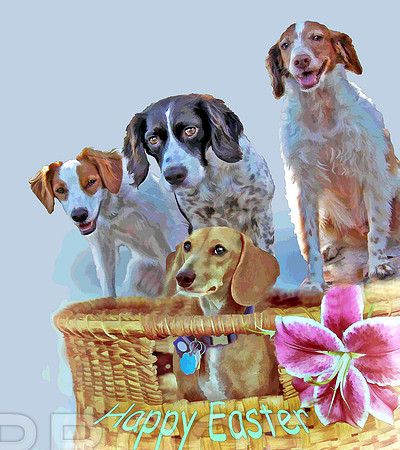 h easter w doxie N 3 britts stil