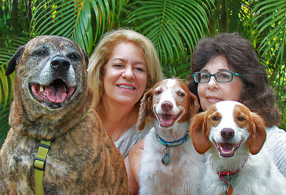 the authors and their dogs