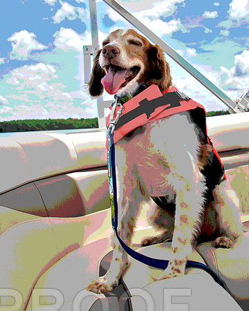 boat pstr 3933 Boat Happy