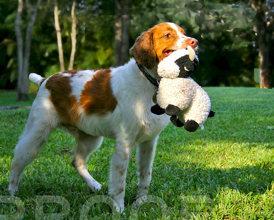 Sonny with toy