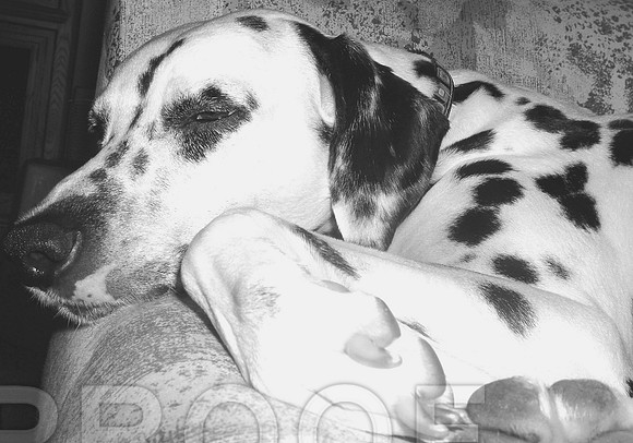 Mimi black and white