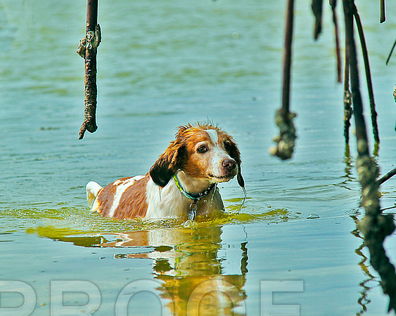 beach 3799 in the mangroves