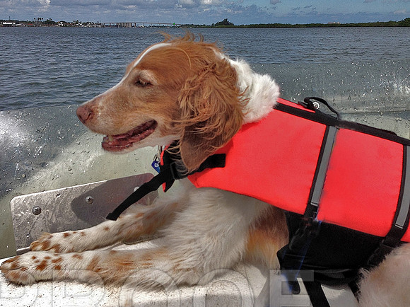 Sonny and boat 0353