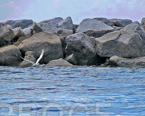 boating 4024 sight from the boat
