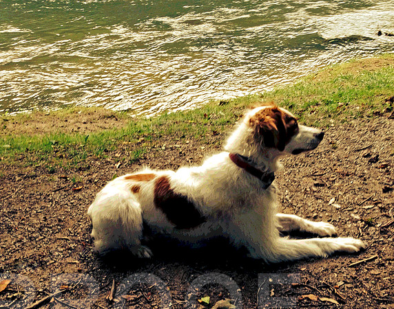 lady by river bankphoto