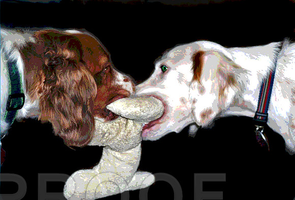Sonny n Tommy sharing toy
