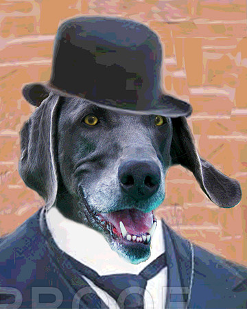 Mr. Carson, The Butler