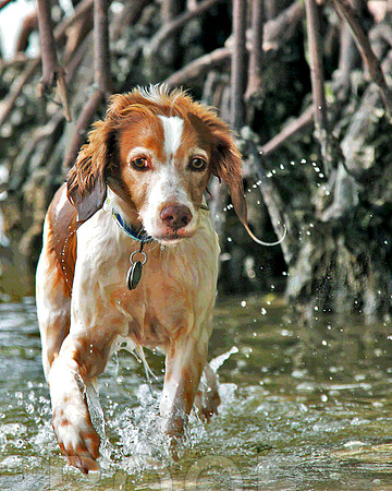 beach 3809 out of here