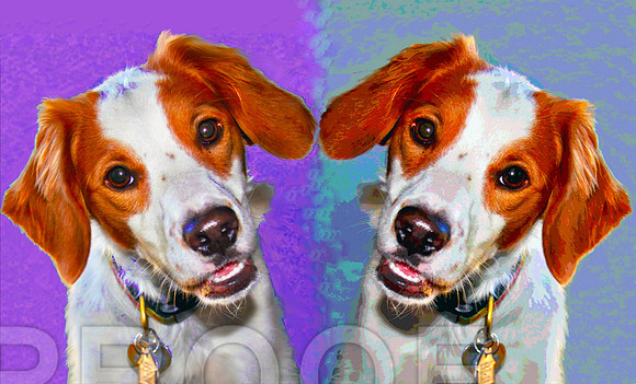 Seeing Double